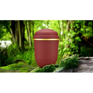 Biodegradable Cremation Ashes Funeral Urn / Casket - RED BEACON